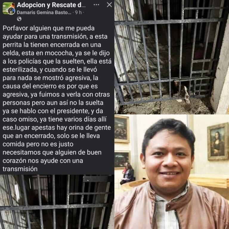 Perrita encerrada en cárcel municipal desata indignación y exhibe condiciones insalubres en Mocochá