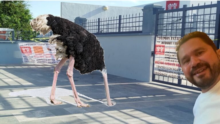 Mauricio Sahuí del Infonavit y su estrategia del avestruz