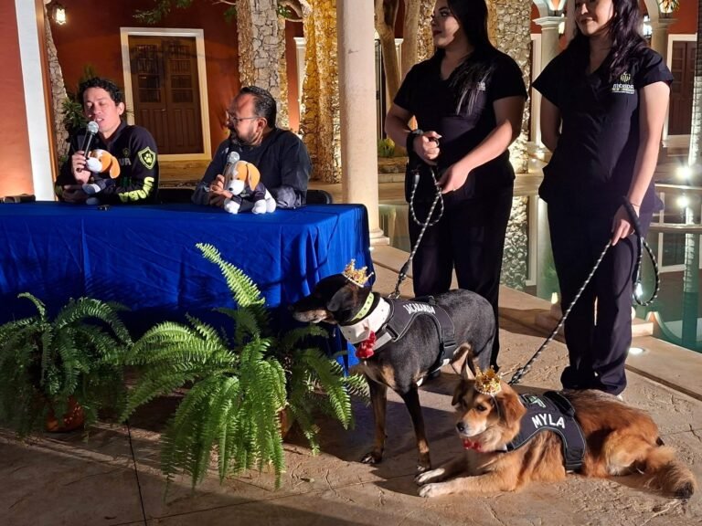 Los reyes caninos dan rostro humano al Carnaval de Mérida 2026 y promueven el respeto a los animales