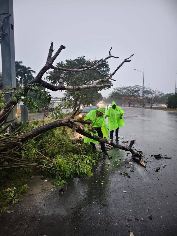Fuertes lluvias y vientos generan 75 emergencias en Yucatán; SSP mantiene operativo de atención