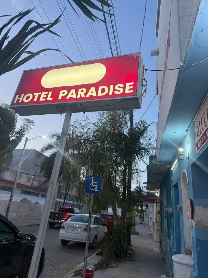 Acusan trato indigno a familia yucateca en hotel de Progreso por acudir con su mascota