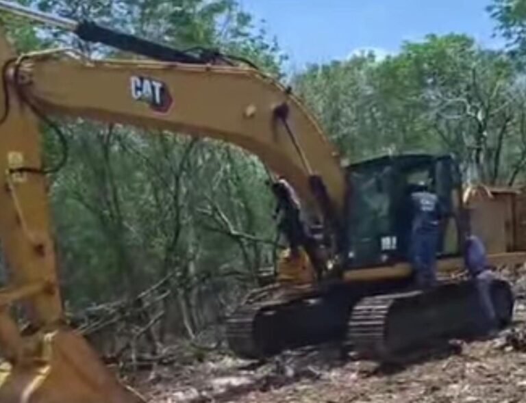 Denuncian opacidad de PROFEPA tras retiro de maquinaria asegurada por desmonte ilegal en Yaxcopoíl
