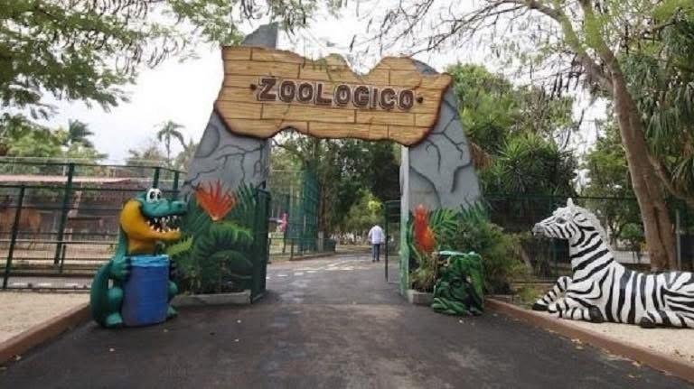 Ataque de jauría deja seis animales muertos en el zoológico del Centenario