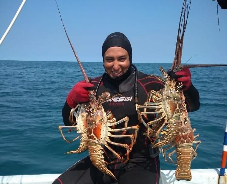Arranca la captura de langosta en Yucatán; esperan superar las 700 toneladas en la nueva temporada