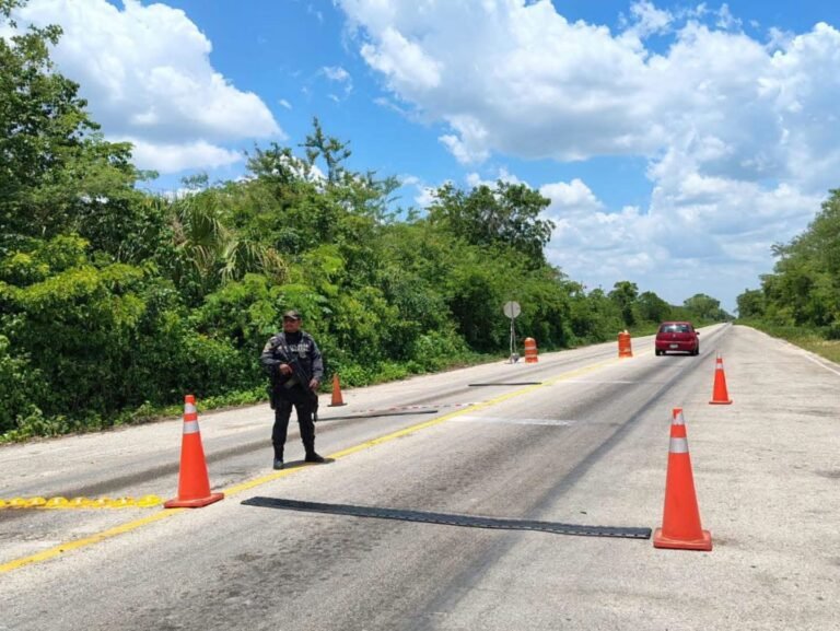 SSP reporta más de 240 revisiones vehiculares sin sanciones durante operativo de regularización en Yucatán