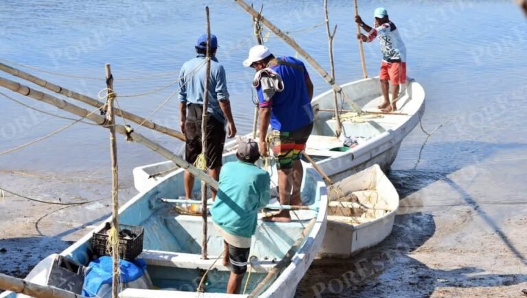 Arranca la temporada de pulpo con expectativas positivas para miles de pescadores de la Península