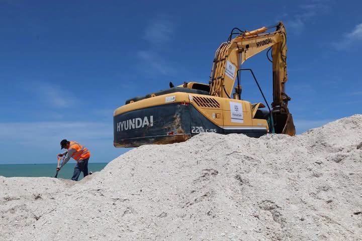 Yucatán afina preparativos para el inicio de la temporada de pulpo en Celestún